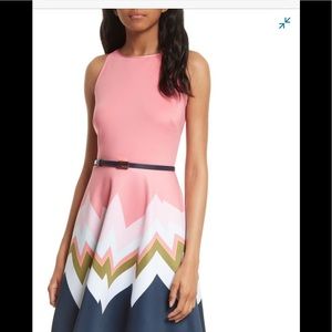 Ted Baker dress size 4.